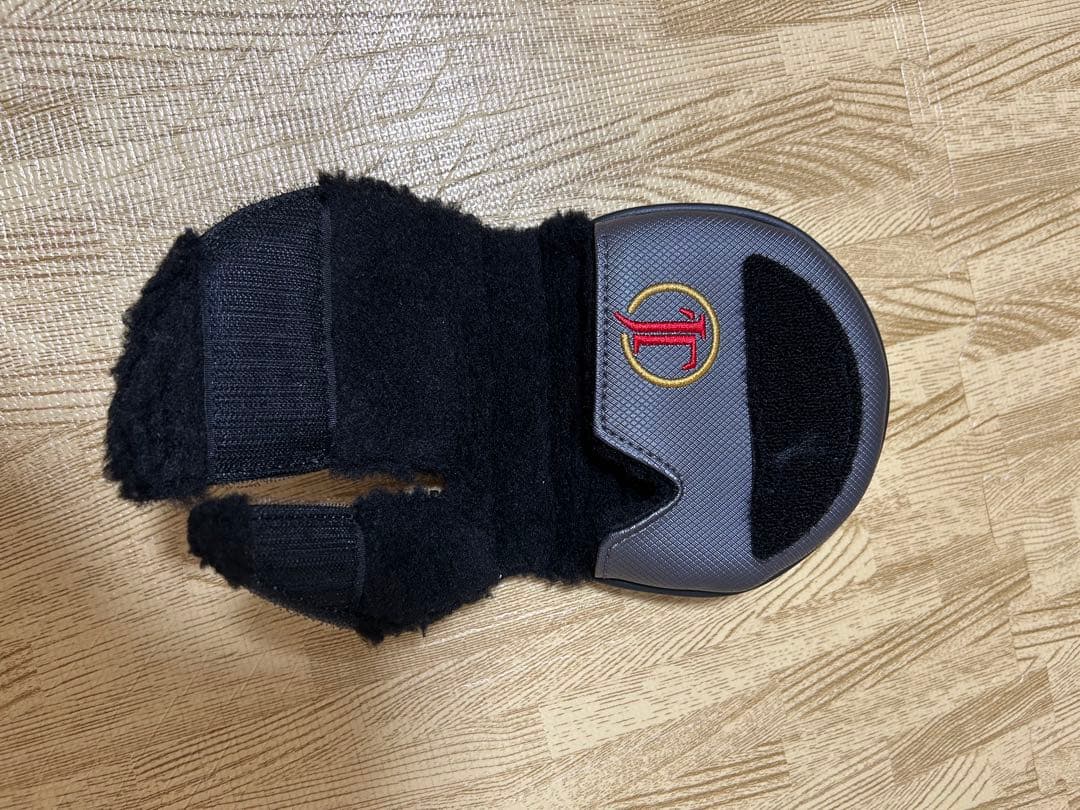 ジャスティン・トーマス インスパイア スコッティ キャメロンX5.5 パター