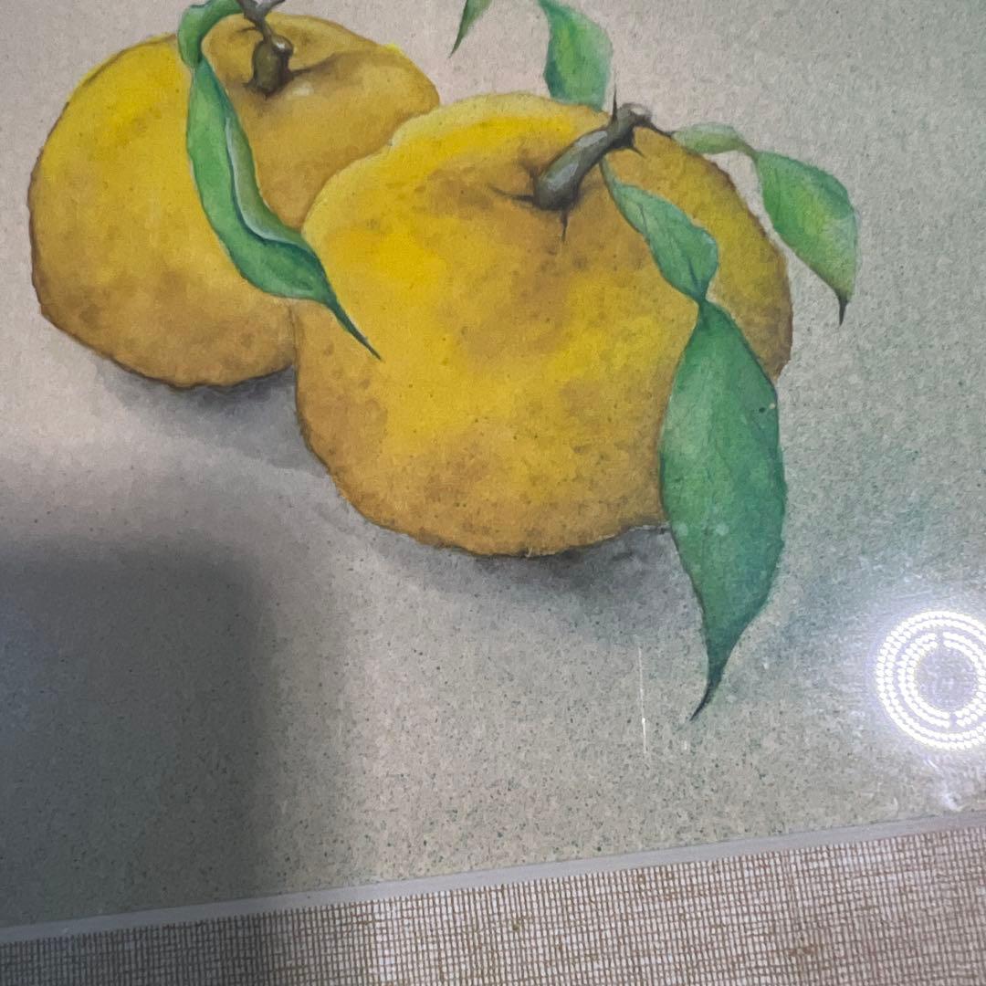 真作】絵画作者不詳 蜜柑 肉筆 昭和レトロ 色紙