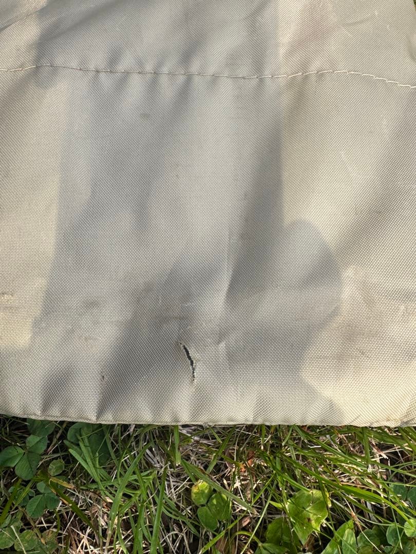 【最終価格】サバティカル モーニンググローリー TC