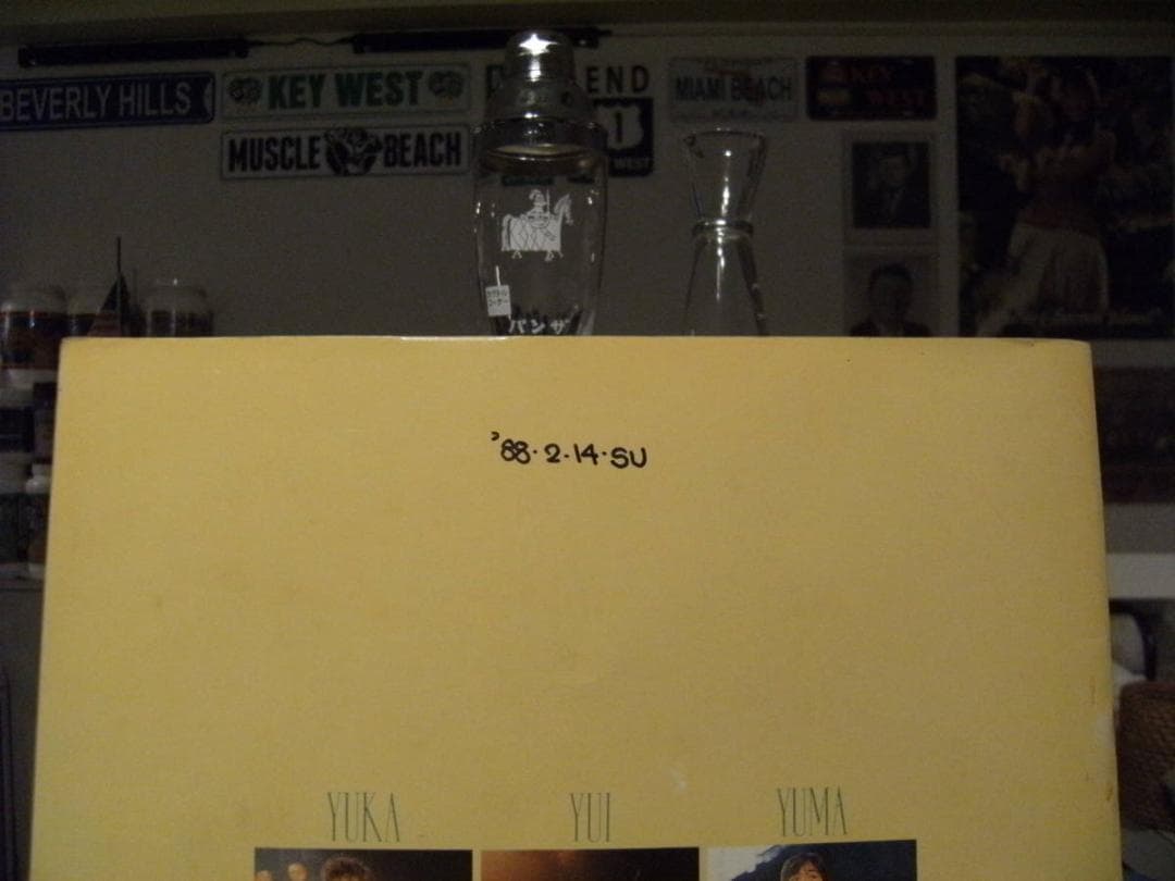 88年 浅香唯 大西結花 中村由真 スケバン刑事 コンサートツアー パンフレット