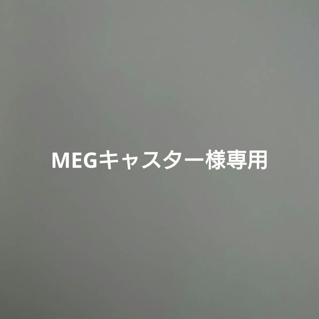 MEGキャスター