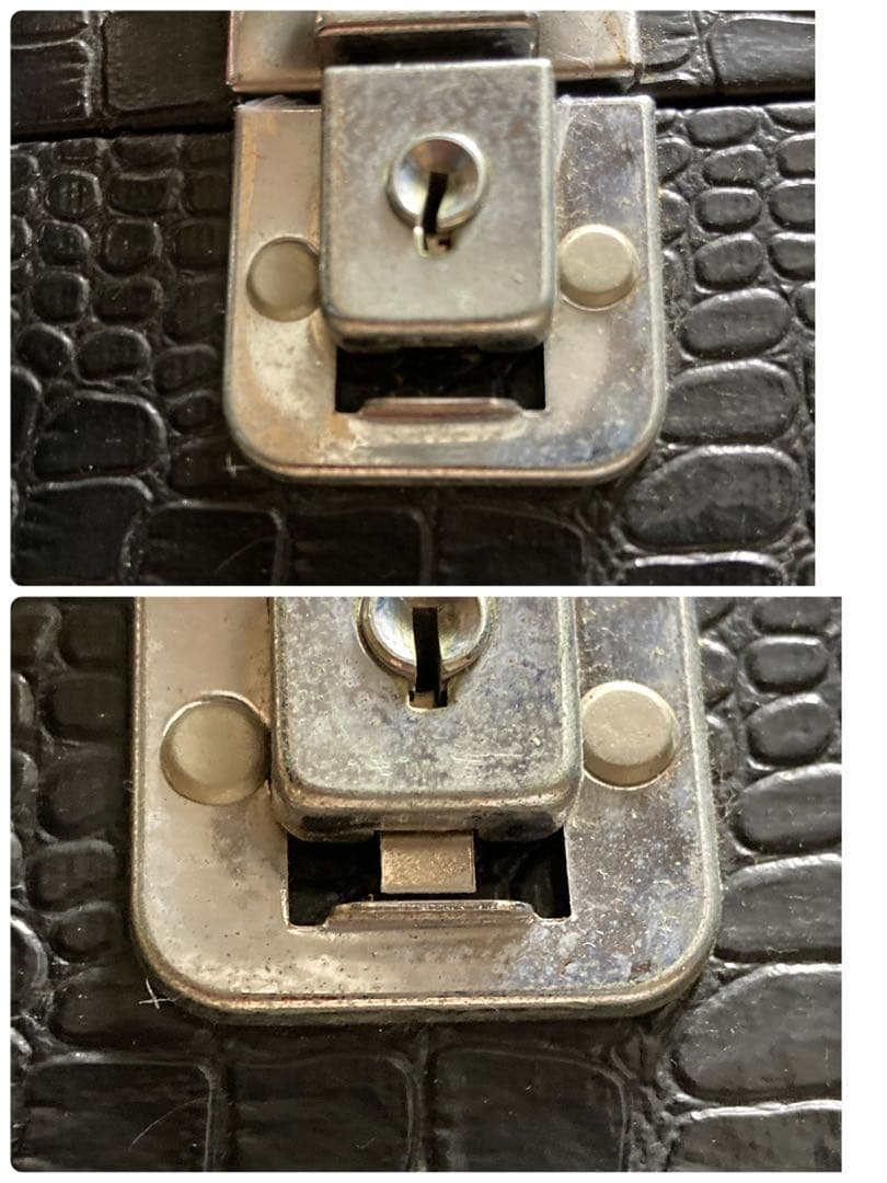 三味線 沖縄 楽譜付 合皮 クロコダイルケース付 楽器 ケース