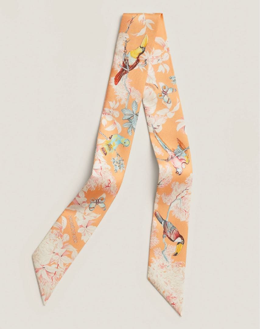 エルメス 2026SS新作 ツイリー 《赤道直下》 新品未使用品 - メルカリ