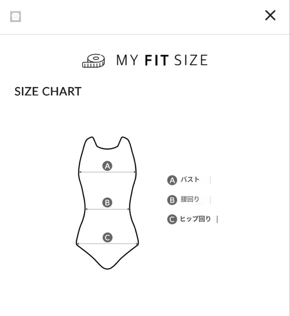 【激レア】arena×WIGGLEWIGGLE 練習用 水着 S