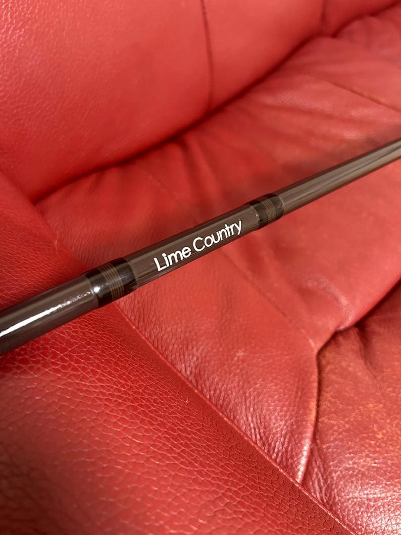 【専用】ラッティーツイスター　ライムカントリー　MH77