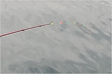 ダイワ 20 BJ イカダ メタルチューン 167・R / チヌ 黒鯛 筏竿