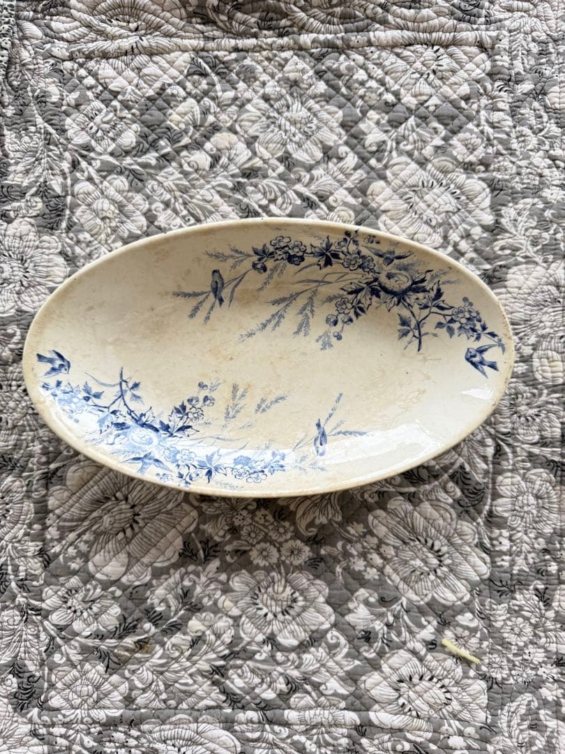 専用 油圧計とcandy peelとオートミールキャニスター Amazon｜Popuppe