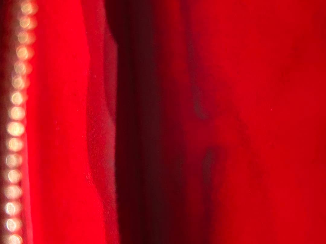 【1/3日まで】LOUIS VUITTON モノグラム アンプラント　エミリー