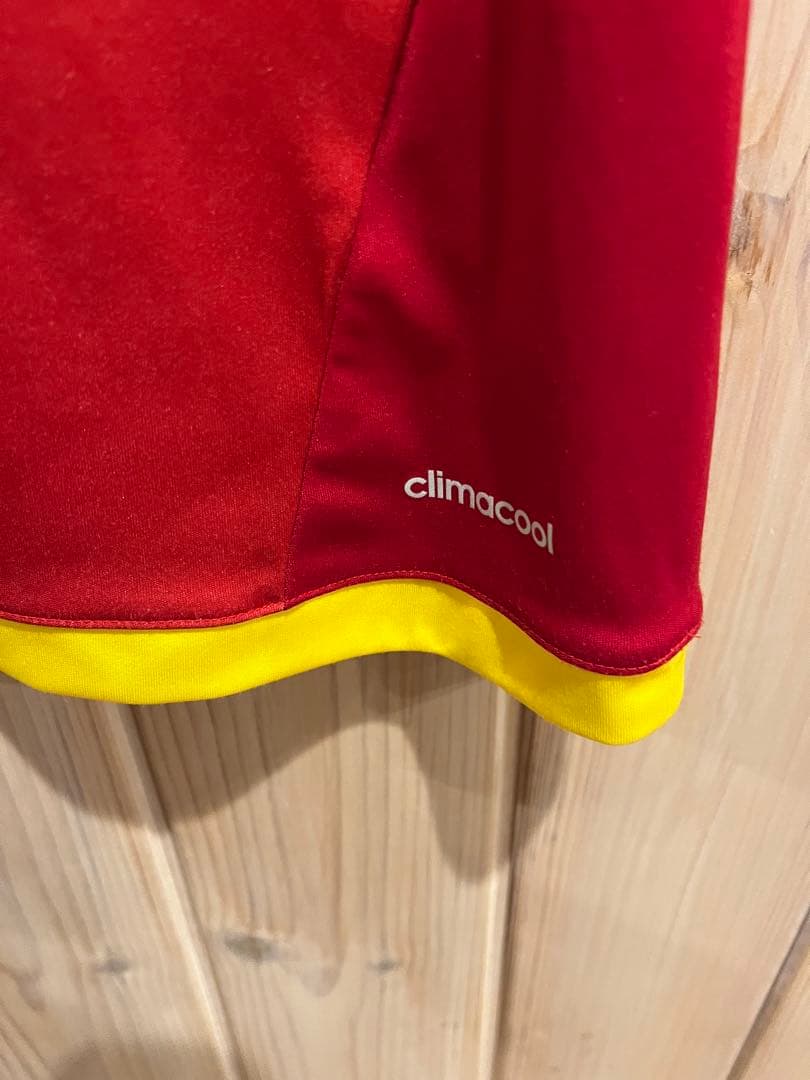 美品】【希少】ツェーゲン 金沢 ユニフォーム 2016年 富田 康仁 - メルカリ