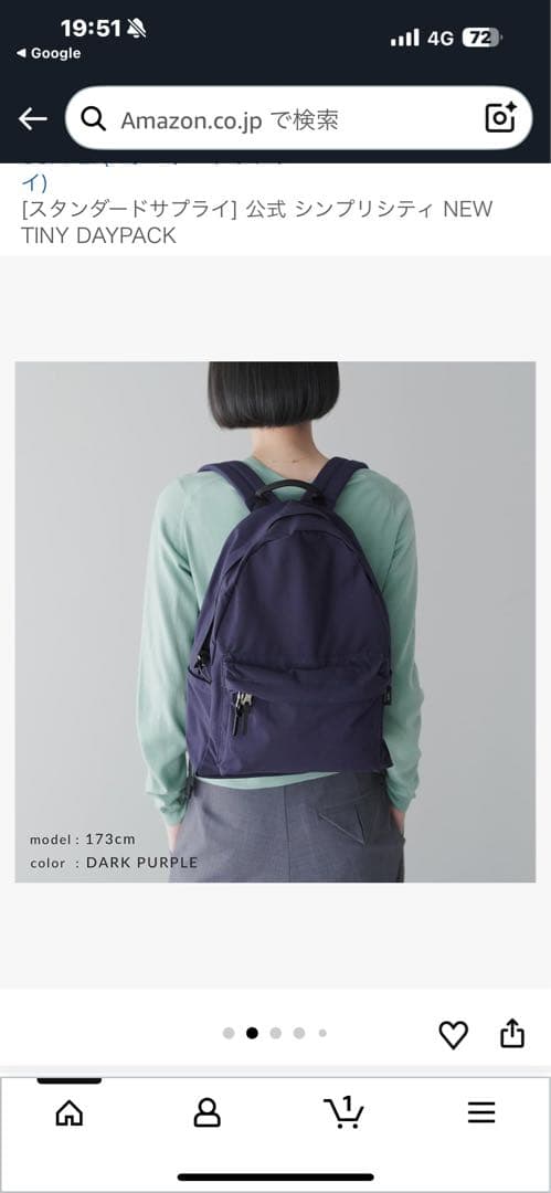 スタンダードサプライ　シンプリシティニュータイニーデイパック未使用品お値下げ最終