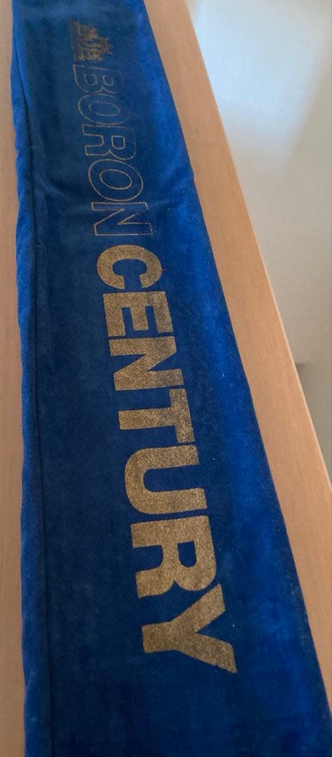 極美品未使用ボロンキャスティング420並継投竿