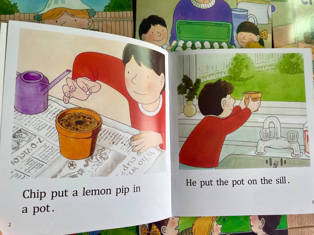 Oxford reading tree stage1新品96冊英語絵本ORT