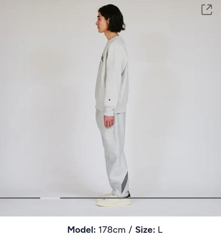 チャンピオン　Ｌ　スウェットシャツ　リバースウィーブ　裏起毛　①