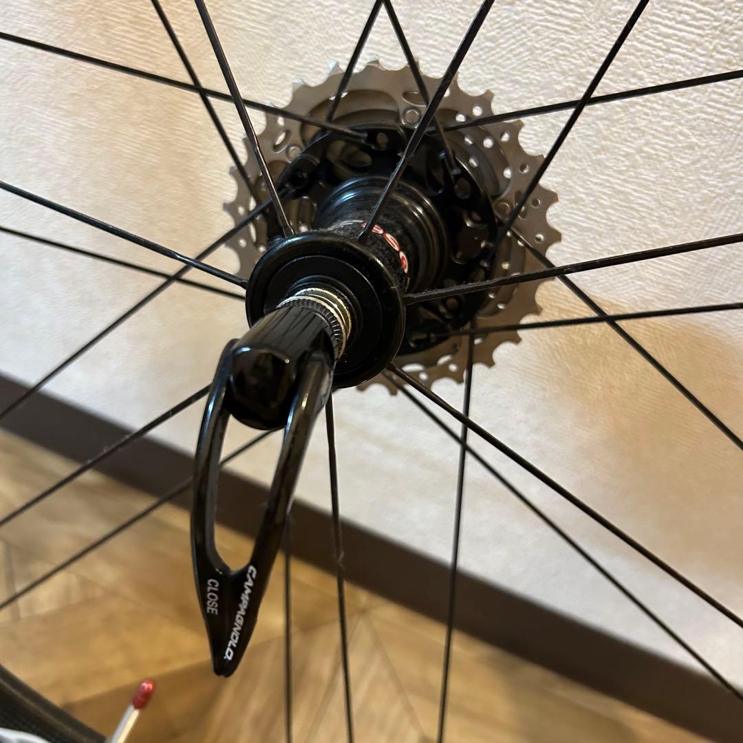 【後輪のみ】Campagnolo BORA ONE 50 (クリンチャー)