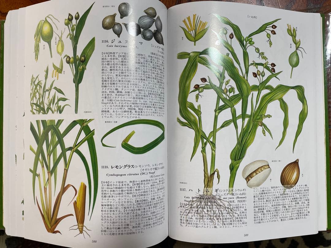 原色牧野和漢薬草大図鑑