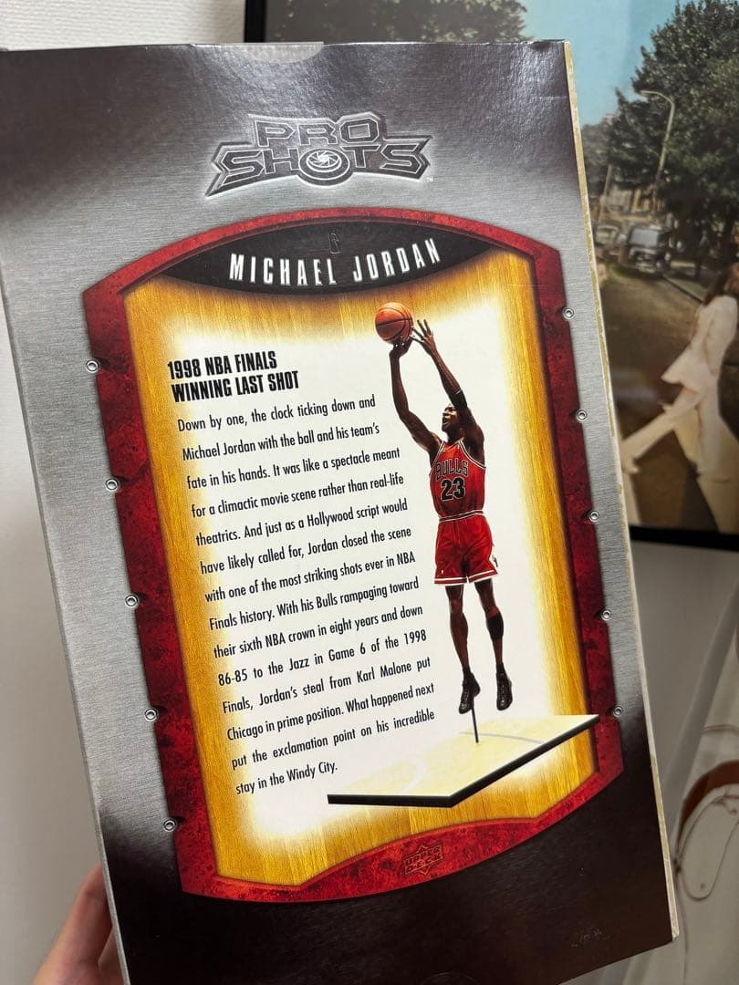 マクファーレン　マイケル・ジョーダン　フィギュア　NBA 25センチ