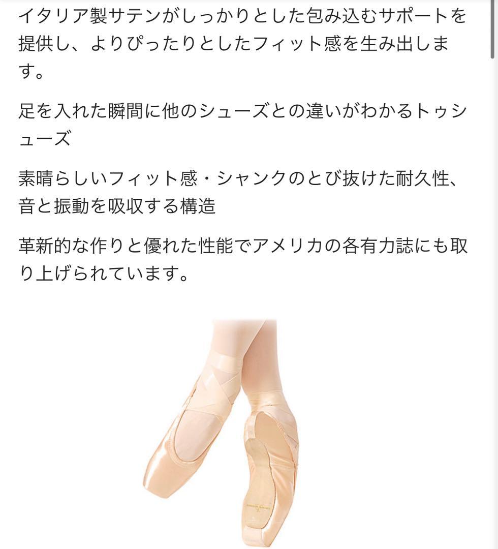 ゲイナーミンデン Gaynor Minden 8.5M（24.5)未使用品