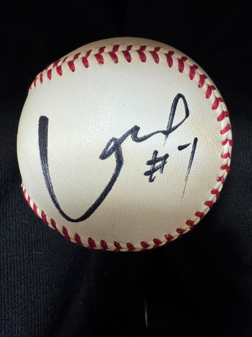 長野久義選手 ジャイアンツ 投げ入れ直筆サイン入り野球ボール 読売