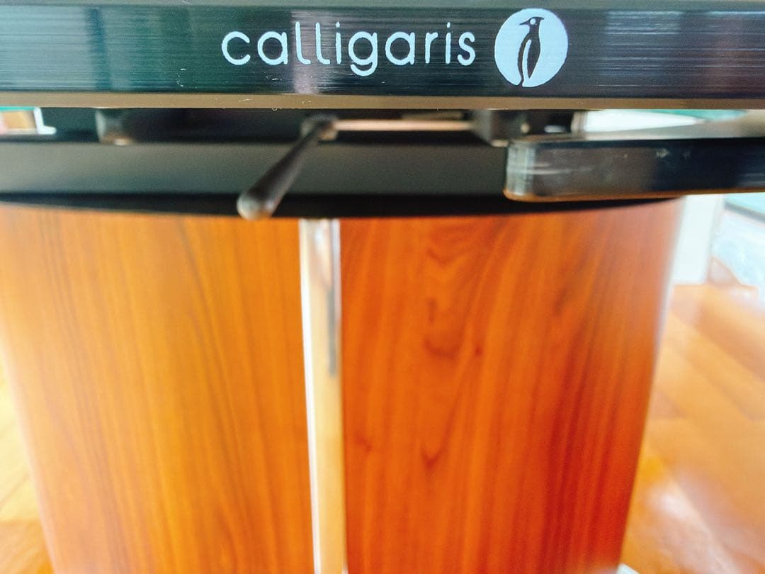 カリガリス Calligaris オデッセイ ダイニングテーブル 大型 大人数