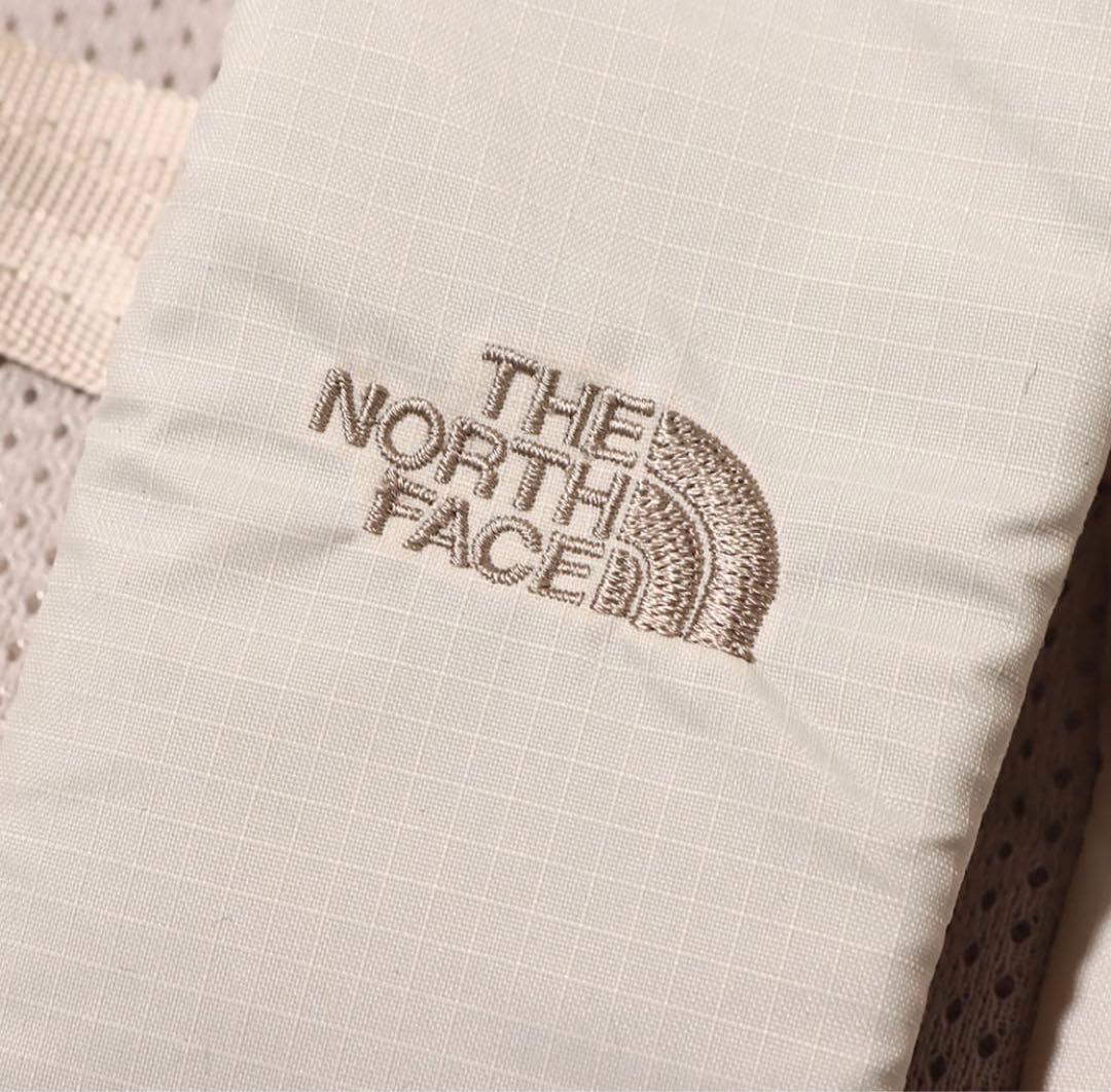 THE NORTH FACE リュック バックパック　20L アイボリー