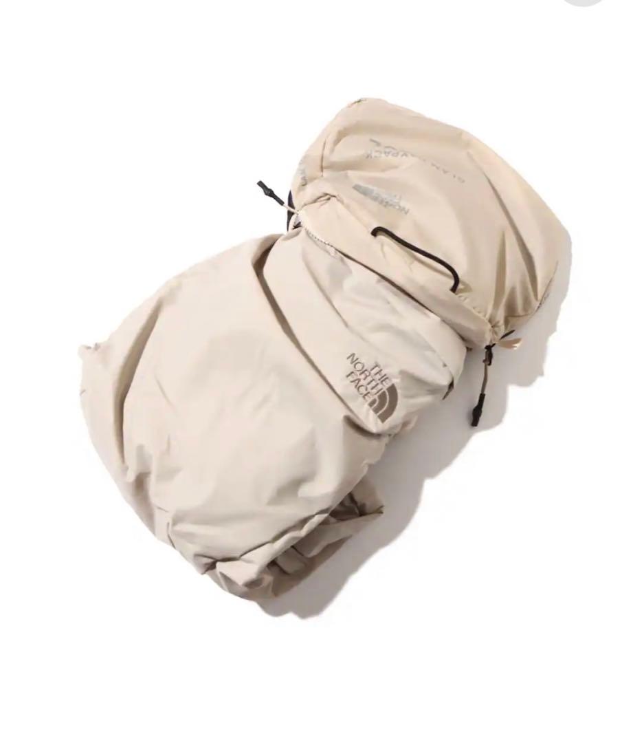 THE NORTH FACE リュック バックパック　20L アイボリー