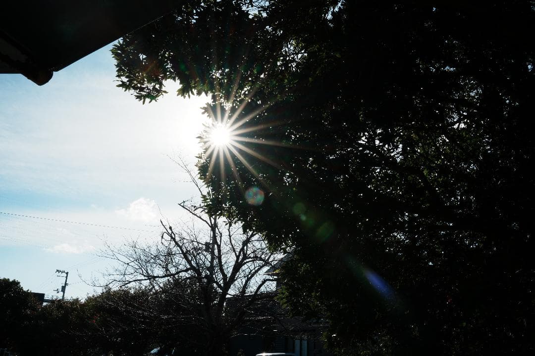 1本で完結 Tamron 28-75mm F2.8 A036 軽量550g