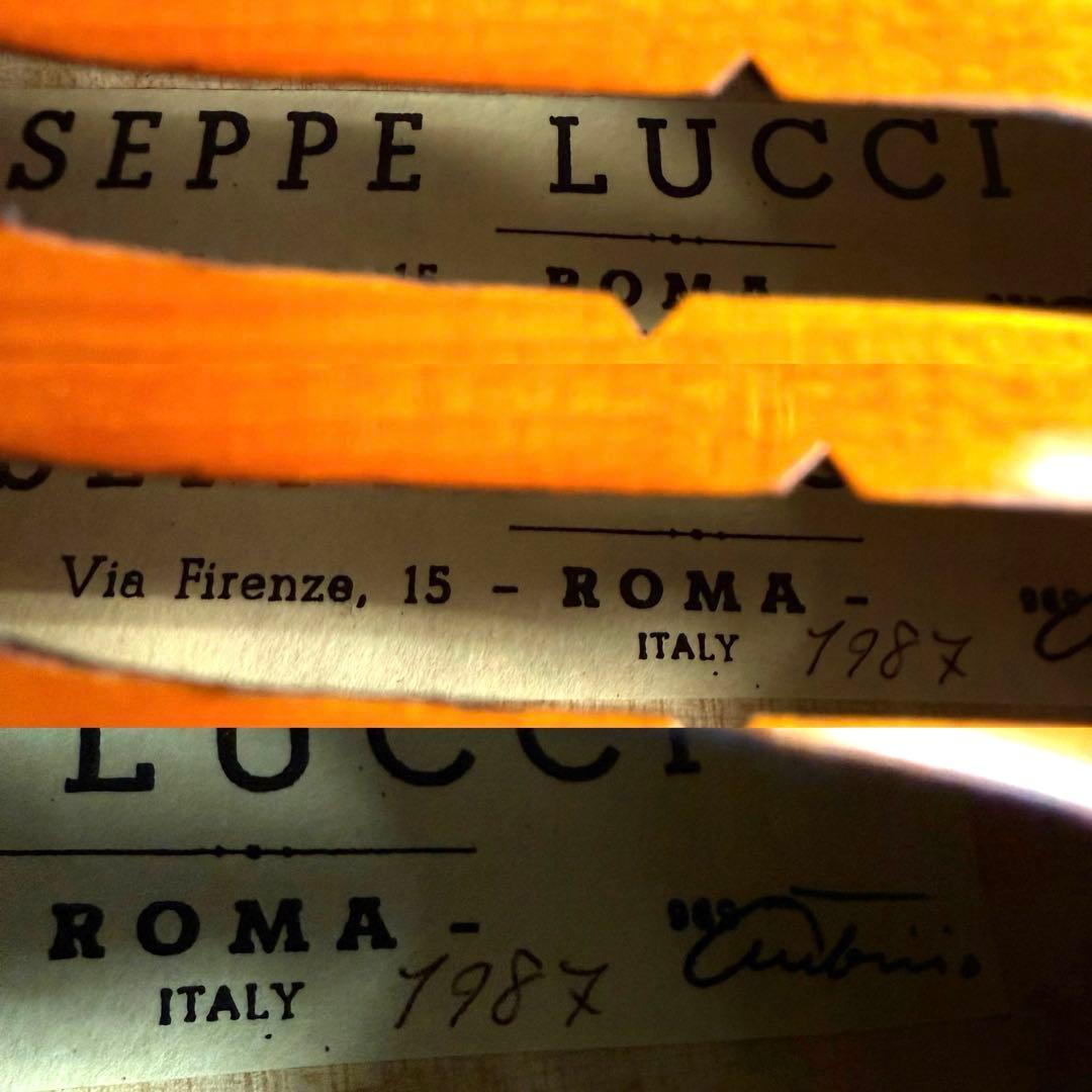 Giuseppe Lucci ROMA ITALY 1987 4/4バイオリン