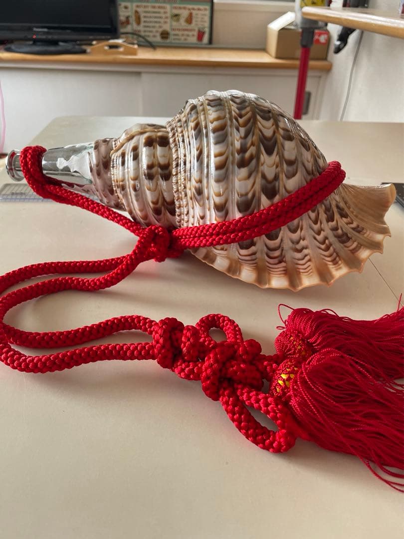 法螺貝　ホラガイ　赤紐