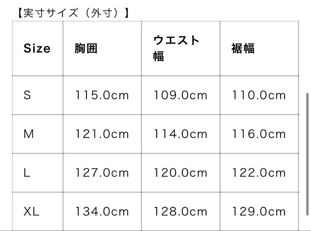 スキー PeakPerformance MAlpine Gore-Tex3LJacket