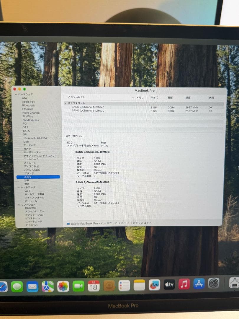 MacBook本体 MacBook Pro Intel /i9/16GB/1TB