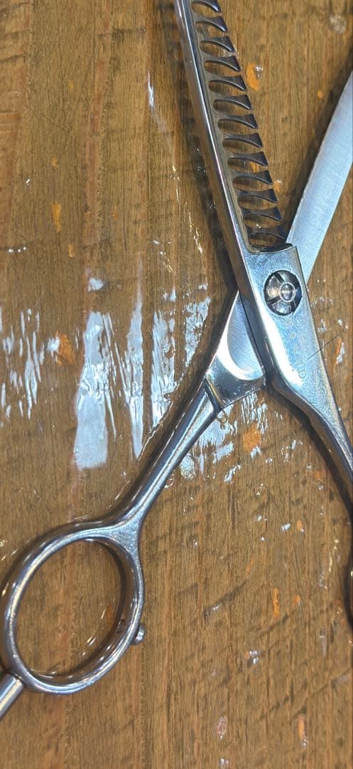 セニングシザー ステンレス製 標準サイズ