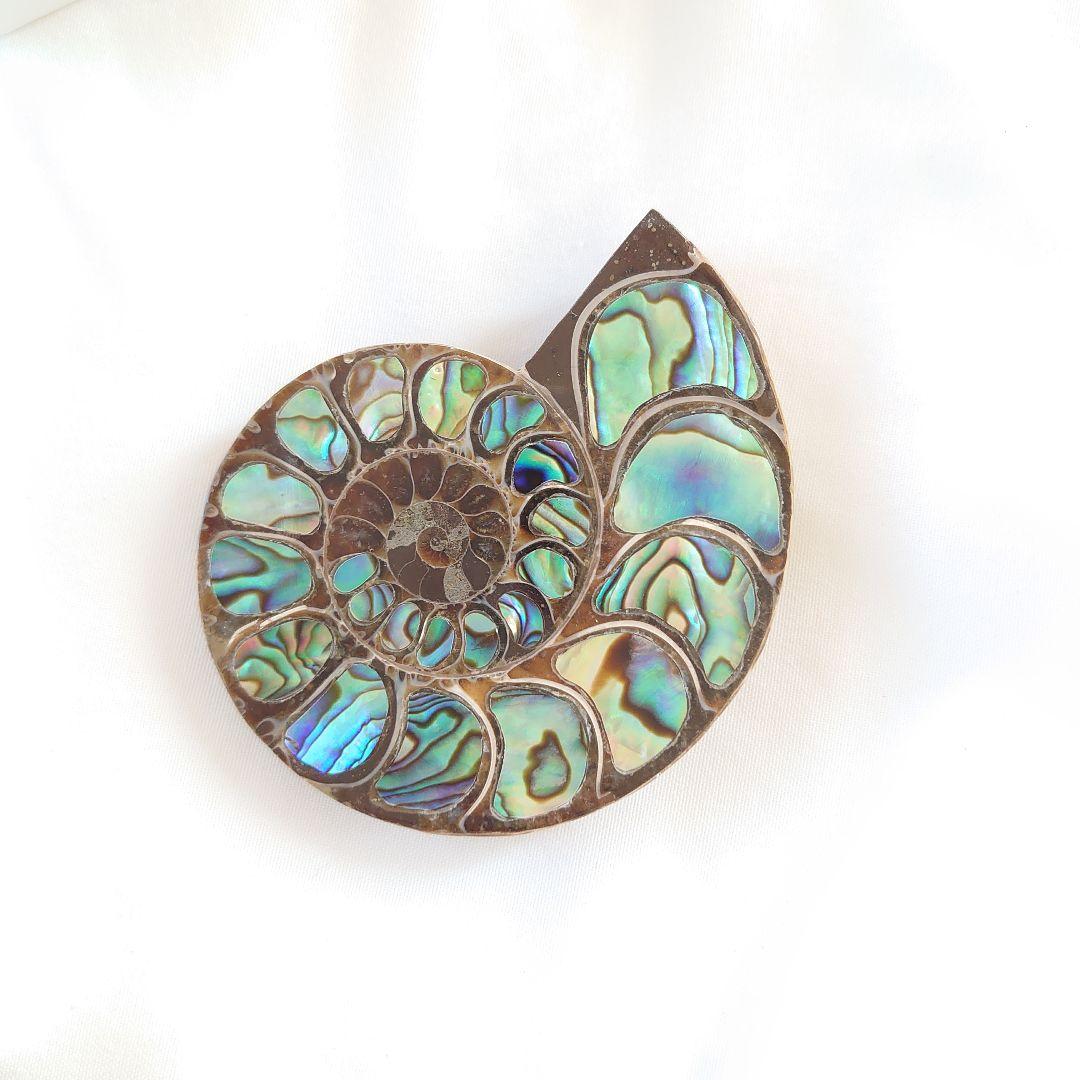 幸運の宝石アンモナイトの化石 約15cm 虹色　コレクション