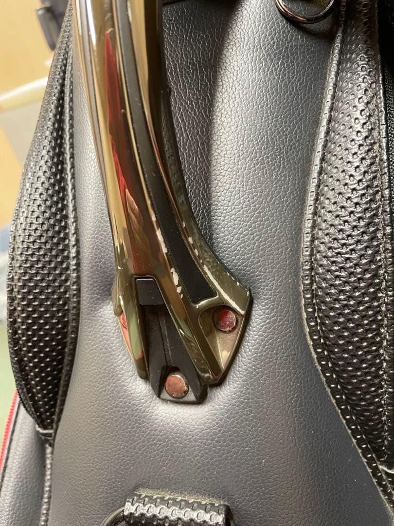 【セレクトショップ限定】Titleist キャディバッグ タイトリスト　オマケ付