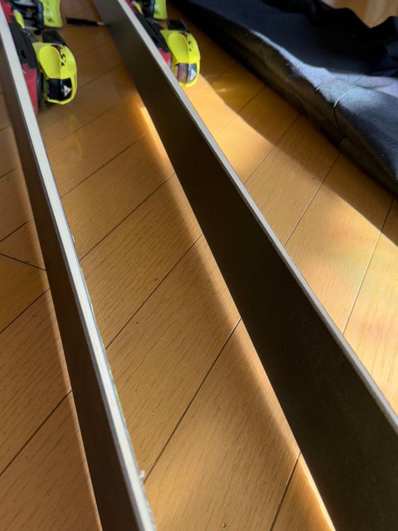 Fischer RC4 Worldcup GS スキー ・ スキー用バッグ