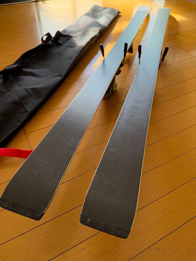 Fischer RC4 Worldcup GS スキー ・ スキー用バッグ