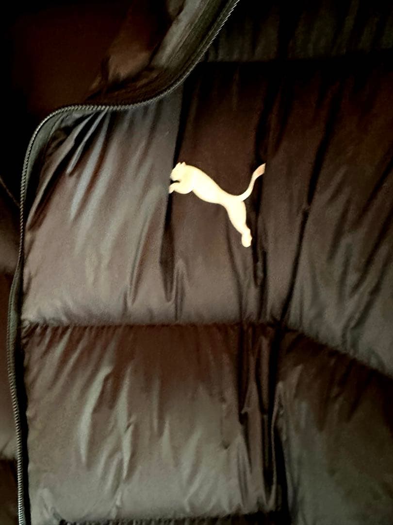 PUMA フェザー&ダウン　 コート　極美品　Lサイズ
