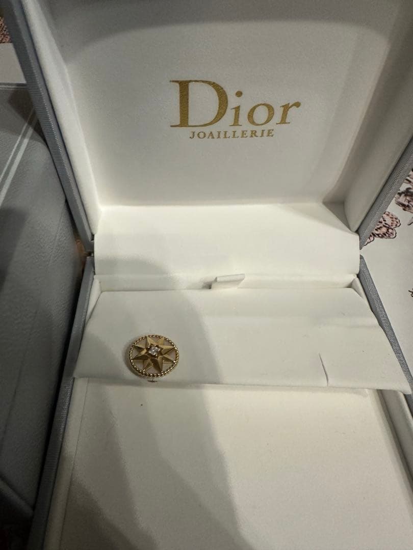 Dior Rose des Vents シングルピアス ミディアム