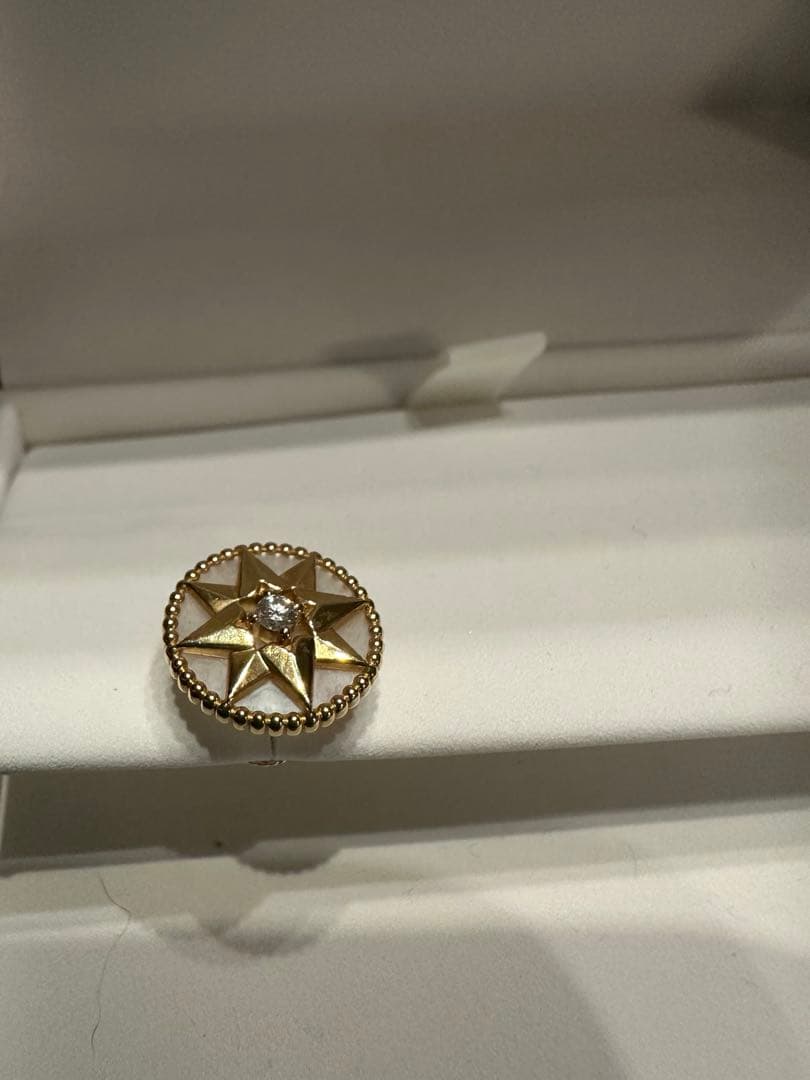 Dior Rose des Vents シングルピアス ミディアム