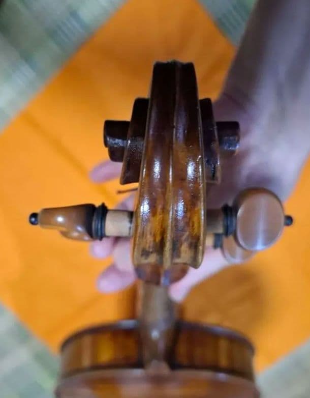 (エンリスク チェルティー 裏板のみ制作)のバイオリン