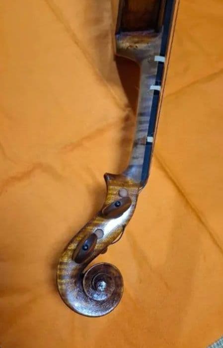 (エンリスク チェルティー 裏板のみ制作)のバイオリン