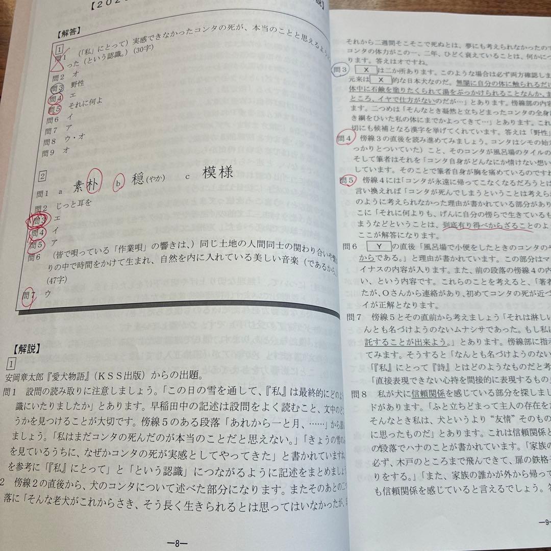 NN早稲田　早稲田中　早稲田の王道　城壁を突破せよ　早稲田アカデミー　2025