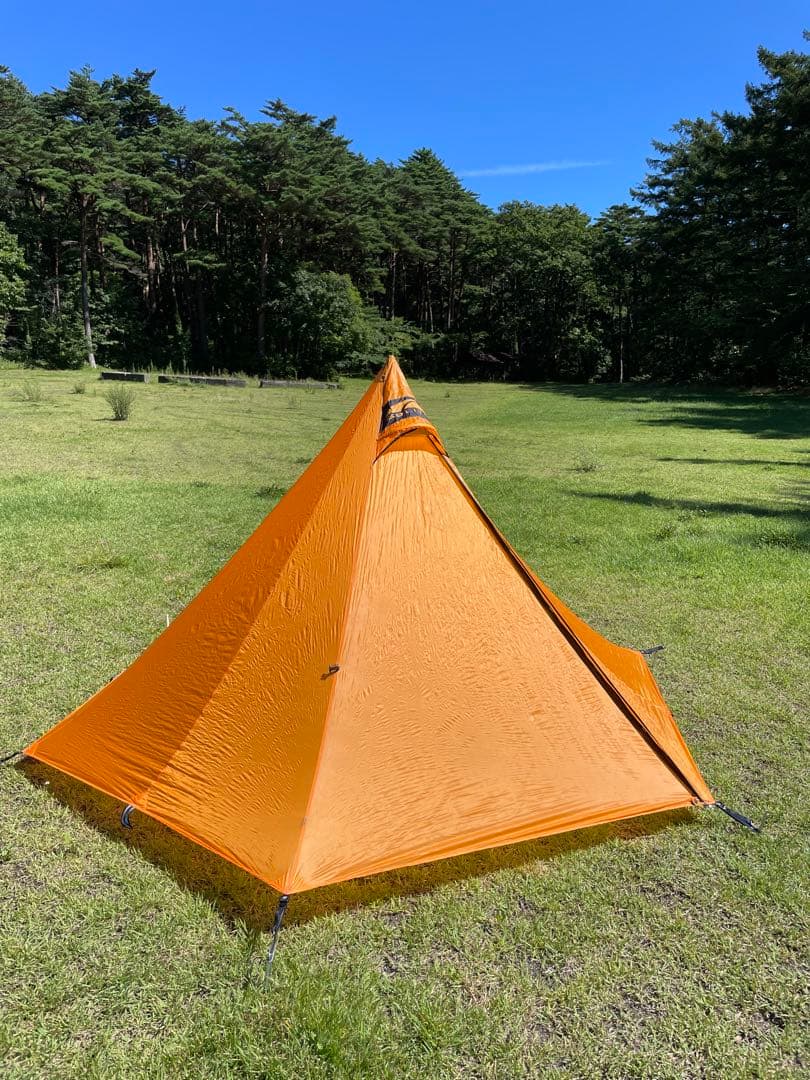 激レア】／TFS SkyDome シルバーコーティング ブラウン