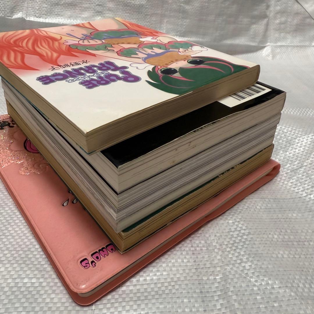 e*様 水野純子　セット販売　まとめ売り　ピュアトランス　妄想乙女