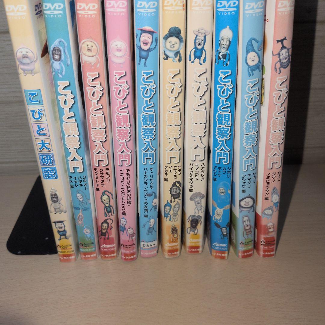 こびとずかん こびと観察入門 DVD 全10巻セット