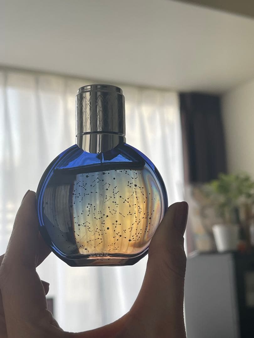 【レア】Van Cleef & Arpels Midnight in Paris