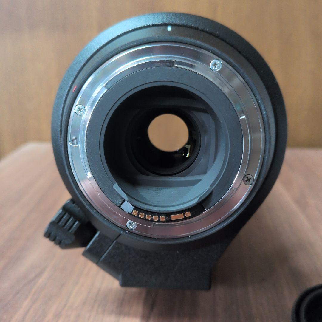 Ｔ*》様 TAMRON SP 150-600mm F/5-6.3 Di VC U