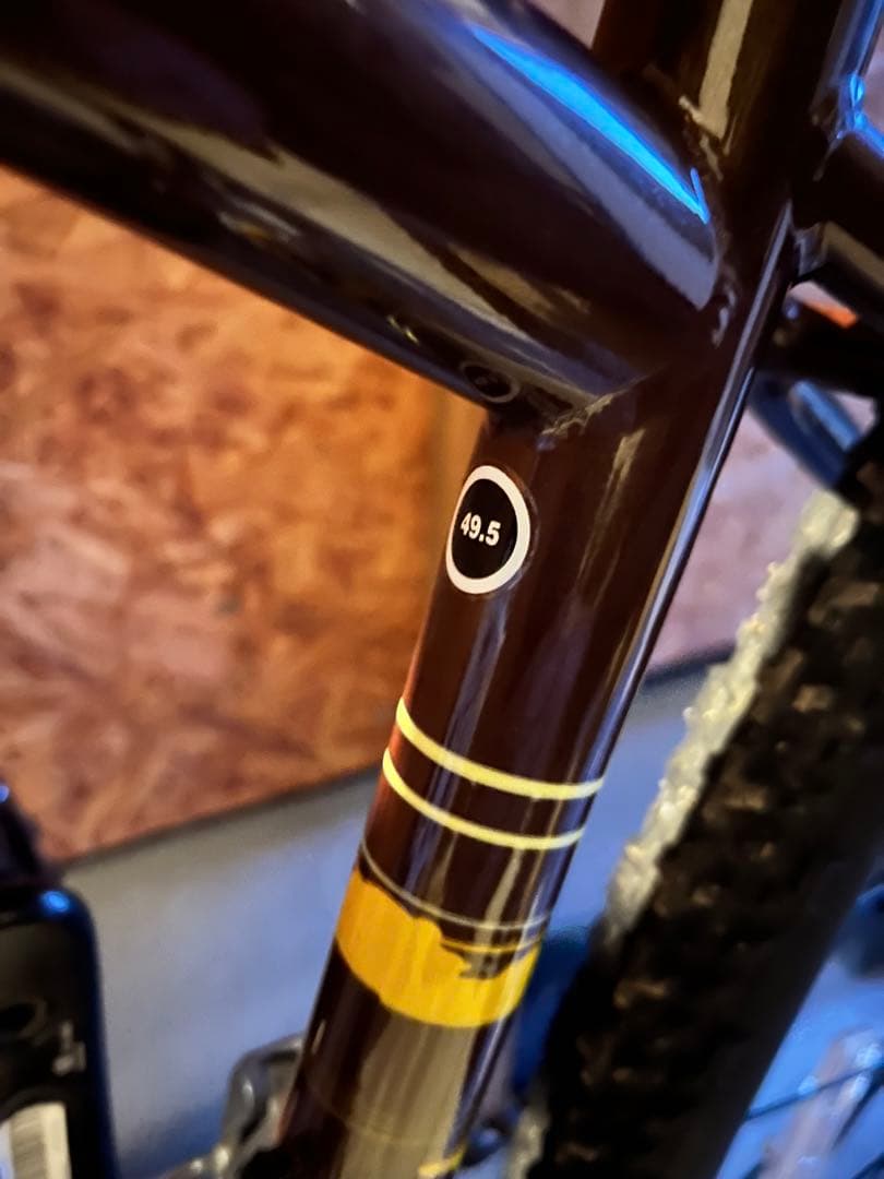 salsa サルサ　vaya