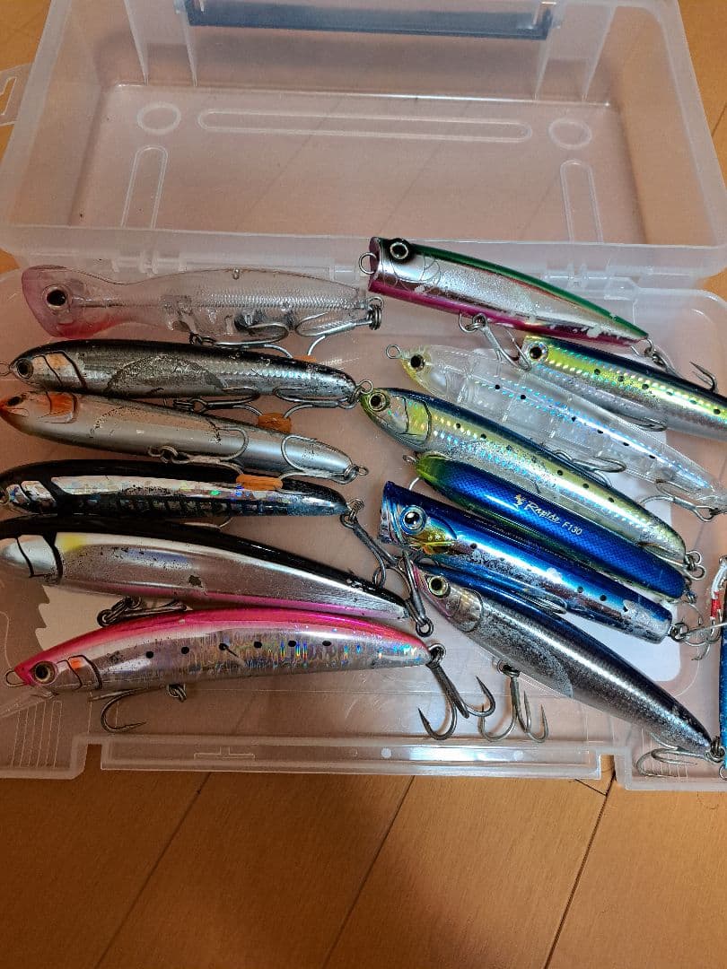 ハンマーヘッド Dカップ R SUS 10F ピンククマノミD-CUP 新品