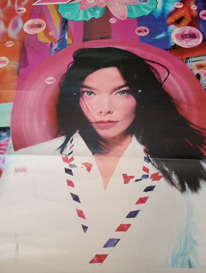 bjork postビョークポストビジュアルアートポスター アイスランド出身