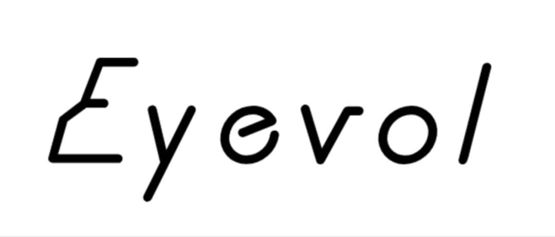 【極美品】アイヴォル | EyevolLEIFER Ⅲ 49